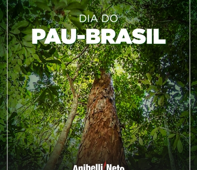 Dia do Pau-Brasil