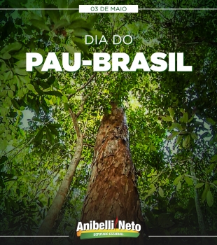 Dia do Pau-Brasil