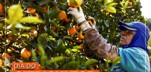 Dia do Citricultor