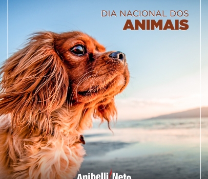 Dia Nacional dos Animais