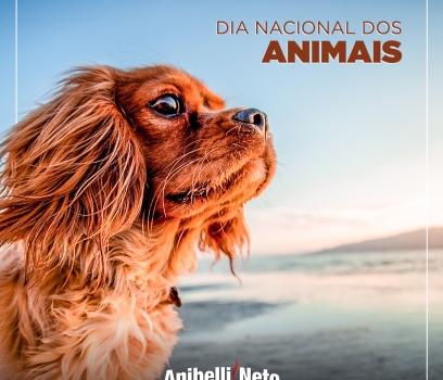 Dia Nacional dos Animais