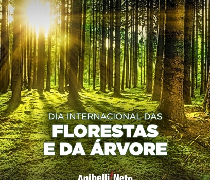 Dia Internacional das Florestas e da Árvore