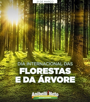 Dia Internacional das Florestas e da Árvore