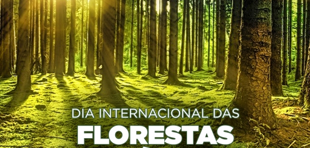 Dia Internacional das Florestas e da Árvore