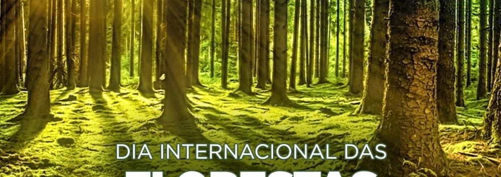 Dia Internacional das Florestas e da Árvore