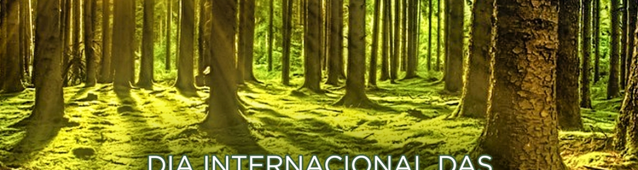 Dia Internacional das Florestas e da Árvore