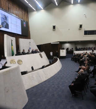 Sessão solene comemora cinquentenário dos Conselhos de Medicina Veterinária