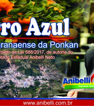 Proposta por Anibelli Neto, lei que concede título de capital paranaense da ponkan ao município de Cerro Azul é aprovada na Alep