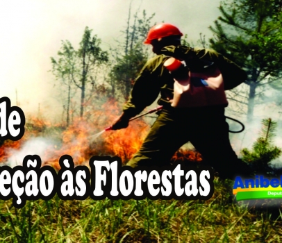 Dia de Proteção às Florestas