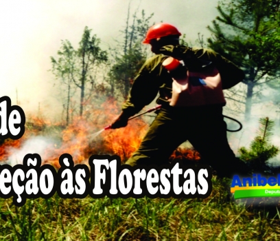 Dia de Proteção às Florestas