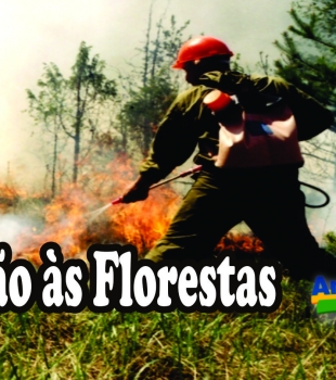 Dia de Proteção às Florestas