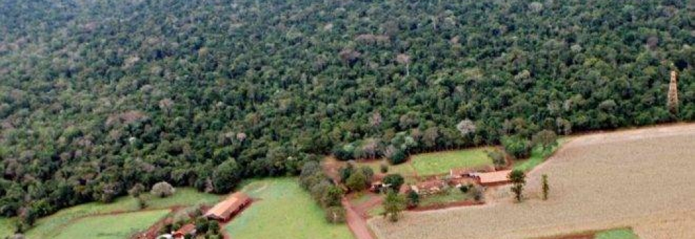 Anibelli Neto participa de audiência pública que irá debater reabertura da Estrada do Colono