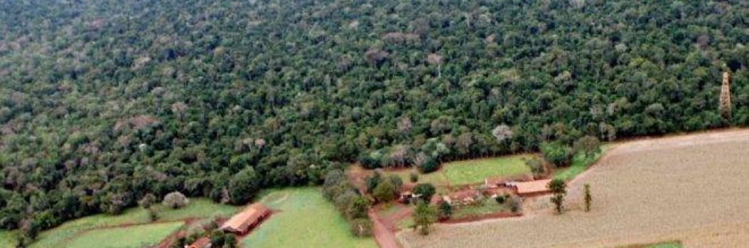 Anibelli Neto participa de audiência pública que irá debater reabertura da Estrada do Colono