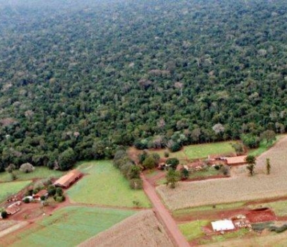 Anibelli Neto participa de audiência pública que irá debater reabertura da Estrada do Colono