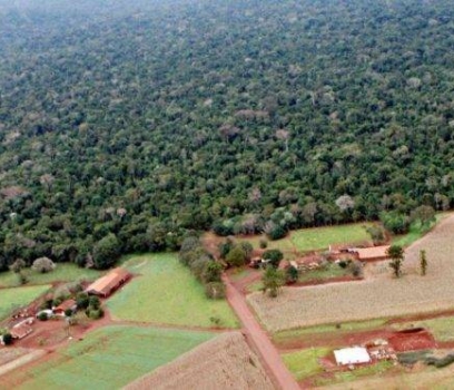 Anibelli Neto participa de audiência pública que irá debater reabertura da Estrada do Colono