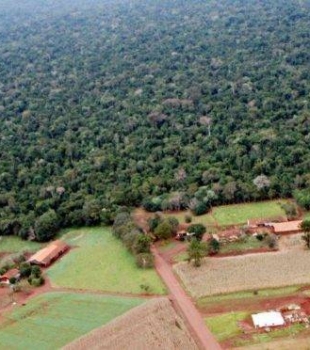 Anibelli Neto participa de audiência pública que irá debater reabertura da Estrada do Colono