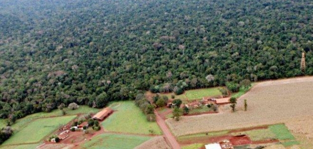Anibelli Neto participa de audiência pública que irá debater reabertura da Estrada do Colono