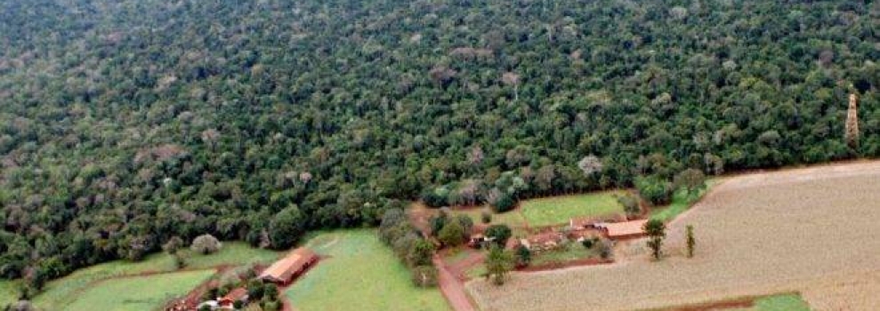 Anibelli Neto participa de audiência pública que irá debater reabertura da Estrada do Colono