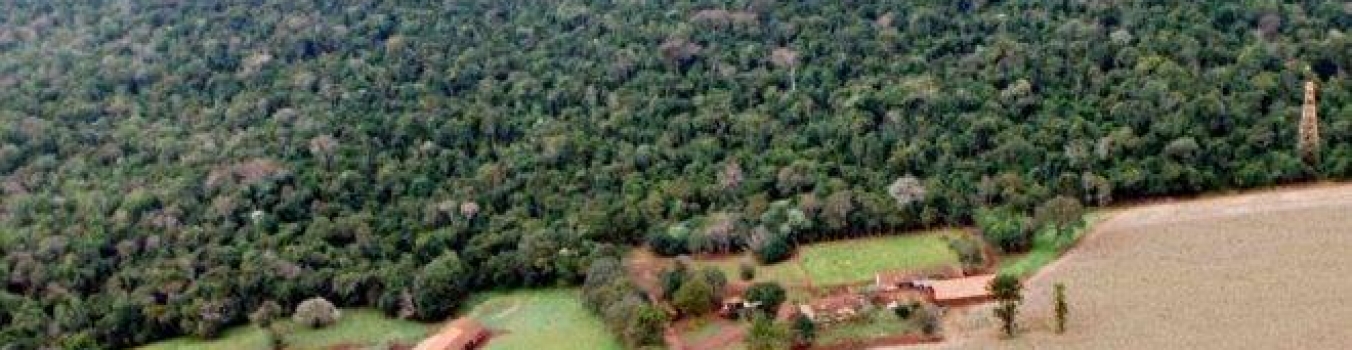 Anibelli Neto participa de audiência pública que irá debater reabertura da Estrada do Colono