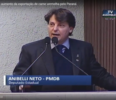 Deputado Anibelli Neto discursa em Plenário