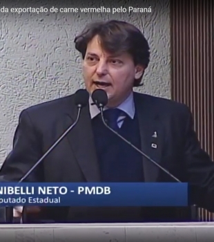 Deputado Anibelli Neto discursa em Plenário