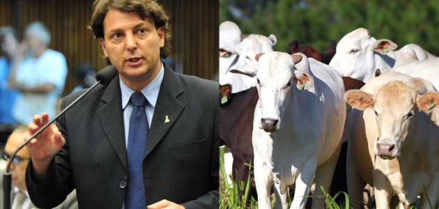 Anibelli Neto comemora conquista: Passam a valer nova regras para trânsito de animais