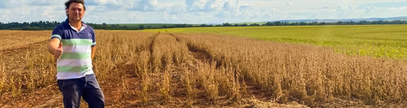 Anibelli Neto solicita ao Ministério da Agricultura medidas para minimizar perdas ocorridas pela seca no Paraná