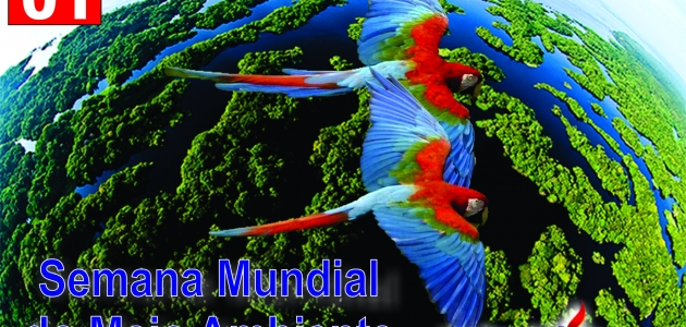 Semana Nacional do meio ambiente busca conscientizar a população contra a degradação