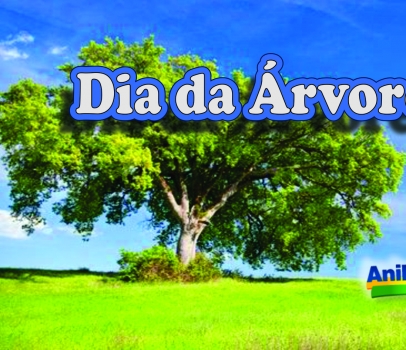 Dia da Árvore