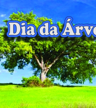 Dia da Árvore