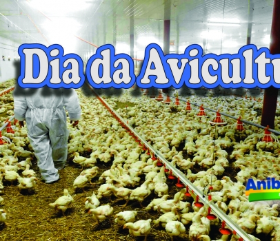 Dia da Avicultura