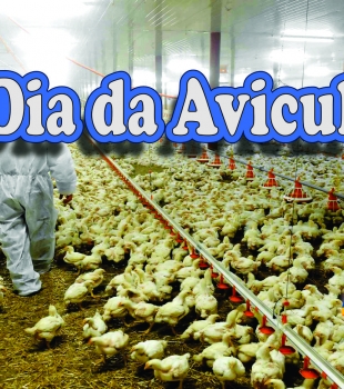 Dia da Avicultura