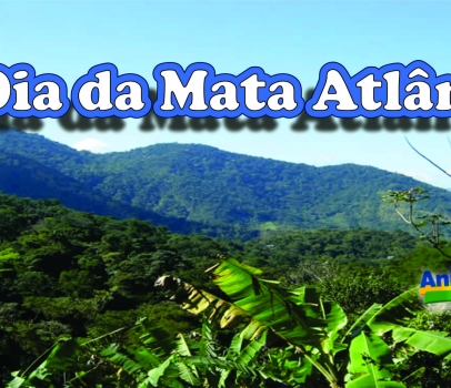 Dia Nacional da Mata Atlântica