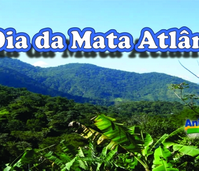 Dia Nacional da Mata Atlântica