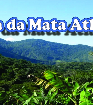 Dia Nacional da Mata Atlântica