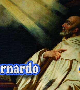 Dia de São Bernardo