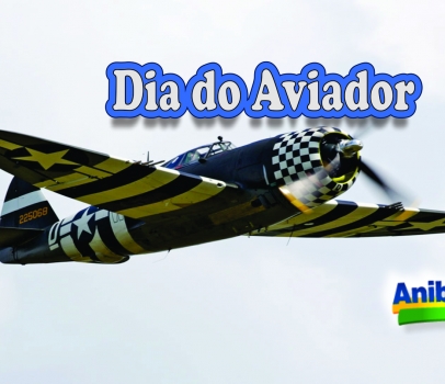 Dia do Aviador