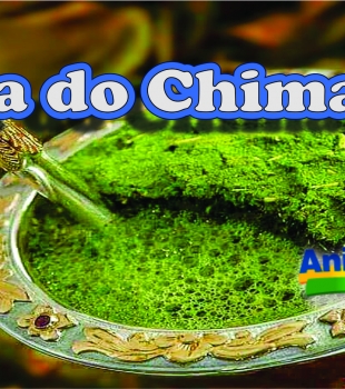 Dia do Chimarrão