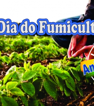 Dia do Fumicultor