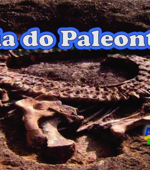 Dia do Paleontólogo