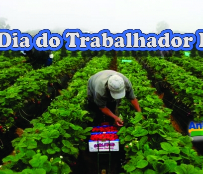 Dia do Trabalhador Rural