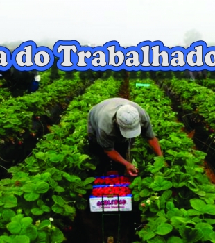 Dia do Trabalhador Rural