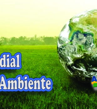 Dia Mundial do Meio Ambiente