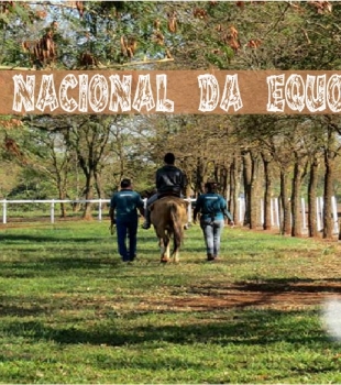 Dia nacional da Equoterapia