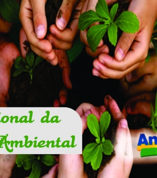 Dia da Educação Ambiental