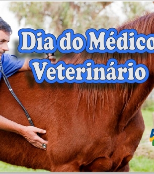 Dia do Médico Veterinário